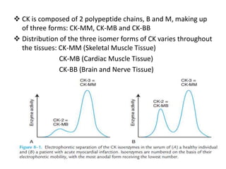 Cardiovascular system- biochemical aspects | PPTX