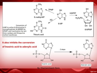It also inhibits the conversion
of Inosinic acid to adenylic acid
O
NH
N
O
N
N
OP
O
O
O
OH OH
O
N
N
NH2
N
N
OP
O
O
O
OH OH
2 steps
Inosinic acid
Adenylic acid
55By: Dharmendrasinh Baria
 