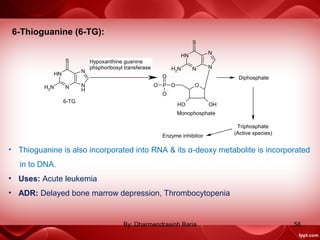 6-Thioguanine (6-TG):
O
NH
N
S
N
N
OP
O
O
O
OH OH
NH2
NH
N
S
N
N
H
NH2
6-TG
Monophosphate
Hypoxanthine guanine
phsphoribosyl transferase
Diphosphate
Triphosphate
(Active species)
Enzyme inhibitior
• Thioguanine is also incorporated into RNA & its α-deoxy metabolite is incorporated
in to DNA.
• Uses: Acute leukemia
• ADR: Delayed bone marrow depression, Thrombocytopenia
58By: Dharmendrasinh Baria
 