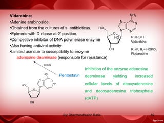 Vidarabine:
•Adenine arabinoside.
•Obtained from the cultures of s. antibioticus.
•Epimeric with D-ribose at 2’ position.
•Competitive inhibitor of DNA polymerase enzyme
•Also having antiviral acticity.
•Limited use due to susceptibility to enzyme
adenosine deaminase (responsible for resistance)
R1=R2=H
Vidarabine
R1=F, R2= HOPO2
Fludarabine
Inhibits
Pentostatin
Inhibition of the enzyme adenosine
deaminase yielding increased
cellular levels of deoxyadenosine
and deoxyadenosine triphosphate
(dATP)
59By: Dharmendrasinh Baria
 