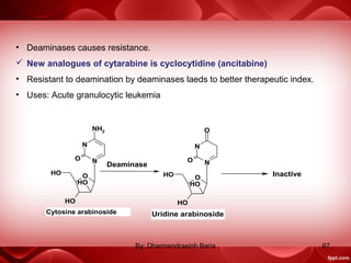 O
OH
OH
OH
N
N
NH2
O
O
OH
OH
OH
N
NO
O
Cytosine arabinoside Uridine arabinoside
Inactive
Deaminase
• Deaminases causes resistance.
 New analogues of cytarabine is cyclocytidine (ancitabine)
• Resistant to deamination by deaminases laeds to better therapeutic index.
• Uses: Acute granulocytic leukemia
67By: Dharmendrasinh Baria
 