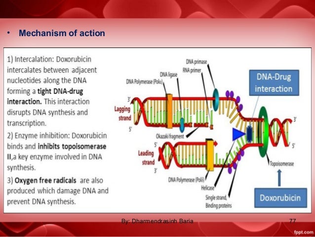 what is the mechanism of action of anticancer drugs