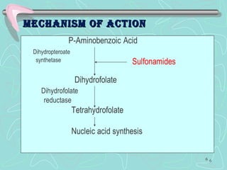 MechanisM of actionMechanisM of action
6
 