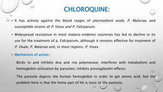 CHLOROQUINE:
• It has activity against the blood stages of plasmodium ovale, P. Malariae, and
susceptible strains of P. Vivax and P. Falciparum.
• Widespread resistance in most malaria-endemic countries has led to decline in its
use for the treatment of p. Falciparum, although it remains effective for treatment of
P. Ovale, P. Malariae and, in most regions, P. Vivax.
• Mechanism of action :
• Binds to and inhibits dna and rna polymerase; interferes with metabolism and
hemoglobin utilization by parasites; inhibits prostaglandin effects.
• The parasite digests the human hemoglobin in order to get amino acid, but the
problem here is that the heme part of hb is toxic to the parasite.
 