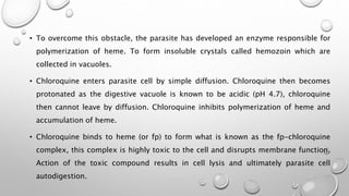 • To overcome this obstacle, the parasite has developed an enzyme responsible for
polymerization of heme. To form insoluble crystals called hemozoin which are
collected in vacuoles.
• Chloroquine enters parasite cell by simple diffusion. Chloroquine then becomes
protonated as the digestive vacuole is known to be acidic (pH 4.7), chloroquine
then cannot leave by diffusion. Chloroquine inhibits polymerization of heme and
accumulation of heme.
• Chloroquine binds to heme (or fp) to form what is known as the fp-chloroquine
complex, this complex is highly toxic to the cell and disrupts membrane function.
Action of the toxic compound results in cell lysis and ultimately parasite cell
autodigestion.
 