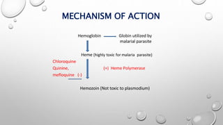 MECHANISM OF ACTION
 