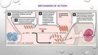 MECHANISM OF ACTION :
 