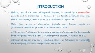 INTRODUCTION
• Malaria, one of the most widespread diseases, is caused by a plasmodium
parasite and is transmitted to humans by the female anopheles mosquito.
Plasmodium belongs to the class of protozoa known as sporozoa.
• Mainly four species of plasmodium typically cause human malaria are
plasmodium falciparum, p. Vivax, P. Malariae and P. Ovale .
• A 5th species, P. Knowlesi, is primarily a pathogen of monkeys, but has recently
been recognized to cause illness, including severe disease, in humans in asia.
• Although all species may cause significant illness, p. Falciparum is responsible
for the majority of serious complications and death.
 