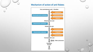 Mechanism of action of anti folates
 