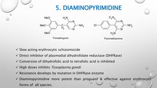 5. DIAMINOPYRIMIDINE
C
H2 N
N
NH2
NH2
MeO
MeO
MeO
N
N
NH2
Cl
NH2
C2
H5
Trimethoprim Pyrimethamine
 Slow acting erythrocytic schizontocide
 Direct inhibitor of plasmodial dihydrofolate reductase (DHFRase)
 Conversion of dihydrofolic acid to tetrafolic acid is inhibited
 High doses inhibits Toxoplasma gondi
 Resistance develops by mutation in DHFRase enzyme
 Diaminopyrimidine more potent than proguanil & effective against erythrocytic
forms of all species.
 