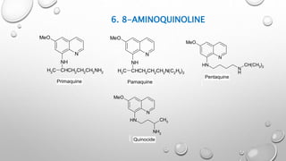 6. 8-AMINOQUINOLINE
N
MeO
NH
CHCH2CH2CH2NH2CH3
N
MeO
NH
CHCH2CH2CH2N(C2H5)2CH3
Primaquine Pamaquine
N
MeO
NH
N
H
CH(CH3)2
Pentaquine
N
MeO
NH
NH2
CH3
Quinocide
 