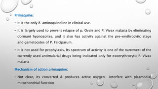 Primaquine:
• It is the only 8-aminoquinoline in clinical use.
• It is largely used to prevent relapse of p. Ovale and P. Vivax malaria by eliminating
dormant hypnozoites, and it also has activity against the pre-erythrocytic stage
and gametocytes of P. Falciparum.
• It is not used for prophylaxis. Its spectrum of activity is one of the narrowest of the
currently used antimalarial drugs being indicated only for exoerythrocytic P. Vivax
malaria
Mechanism of action primaquine:
• Not clear, its converted & produces active oxygen interfere with plasmodial
mitochondrial function
 