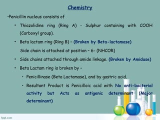 Chemistry
•Penicillin nucleus consists of
• Thiazolidine ring (Ring A) - Sulphur containing with COOH
(Carboxyl group).
• Beta lactam ring (Ring B) – (Broken by Beta-lactamase)
Side chain is attached at position – 6- (NHCOR)
• Side chains attached through amide linkage. (Broken by Amidase)
• Beta Lactam ring is broken by –
• Penicillinase (Beta Lactamase), and by gastric acid.
• Resultant Product is Penicilloic acid with No anti-bacterial
activity but Acts as antigenic determinant (Major
determinant)
 