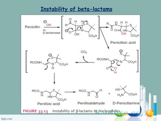 Instability of beta-lactams
 
