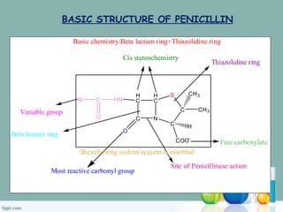 H
C
C N
H
C
C
C
S
O
CH3
CH3
COO-
H
HN
C
R
O
Free carboxylate
Cis stereochemistry
Most reactive carbonyl group
Site of Penicillinase action
Basic chemistry:Beta lactum ring+Thiazolidine ring
Bicyclic ring system sysyem is essential
Variable group
Beta lactum ring
Thiazolidine ring
BASIC STRUCTURE OF PENICILLIN
 