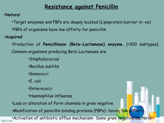 Resistance against Penicillin
•Natural
•Target enzymes and PBPs are deeply located (Lipoprotein barrier in –ve)
•PBPs of organisms have low affinity for penicillin
•Acquired
•Production of Penicillinase (Beta-Lactamase) enzyme, (>300 subtypes).
Common organisms producing Beta-Lactamase are
•Staphylococcus
•Bacillus subtilis
•Gonococci
•E. coli
•Enterococci
•Haemophilus influenza
•Loss or alteration of Porin channels in gram negative
•Modification of penicillin binding proteins (PBPs)- having low affinity .
•Activation of antibiotic efflux mechanism- Some gram negative bacteria
 