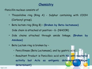 Chemistry
•Penicillin nucleus consists of
• Thiazolidine ring (Ring A) - Sulphur containing with COOH
(Carboxyl group).
• Beta lactam ring (Ring B) – (Broken by Beta-lactamase)
Side chain is attached at position – 6- (NHCOR)
• Side chains attached through amide linkage. (Broken by
Amidase)
• Beta Lactam ring is broken by –
• Penicillinase (Beta Lactamase), and by gastric acid.
• Resultant Product is Penicilloic acid with No anti-bacterial
activity but Acts as antigenic determinant (Major
determinant)
 