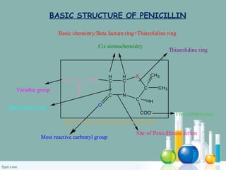 H
C
C N
H
C
C
C
S
O
CH3
CH3
COO-
H
HNCR
O
Free carboxylate
Cis stereochemistry
Most reactive carbonyl group
Site of Penicillinase action
Basic chemistry:Beta lactum ring+Thiazolidine ring
Bicyclic ring system sysyem is essential
Variable group
Beta lactum ring
Thiazolidine ring
BASIC STRUCTURE OF PENICILLIN
 