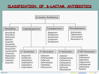 CLASSFICATION OF β-LACTAM ANTIBIOTICSCLASSFICATION OF β-LACTAM ANTIBIOTICS
 