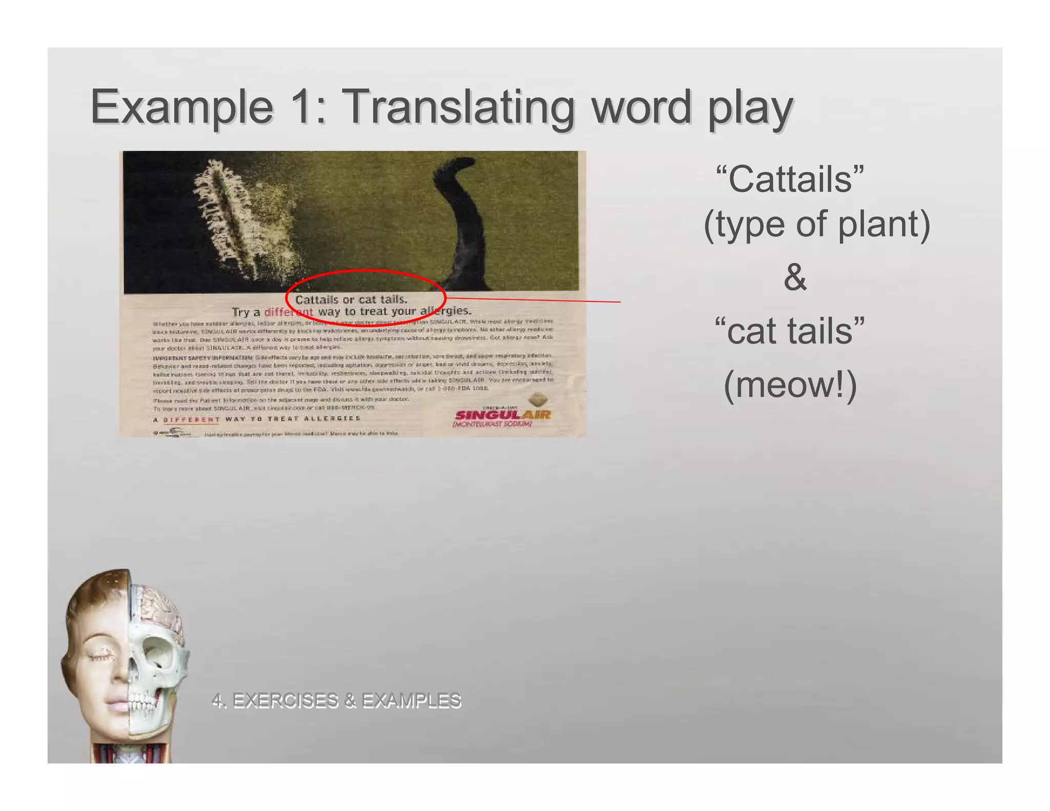 Example 1: Translating word play
                                “Cattails”
                               (type of plant)
                                     &
                                “cat tails”
                                 (meow!)




     4. EXERCISES & EXAMPLES
 