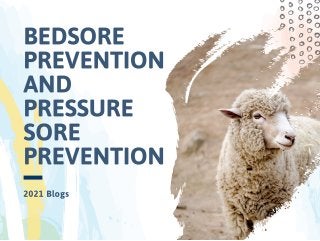  Medical Sheep Skin 2021 | BEDSORE PREVENTION AND PRESSURE SORE PREVENTION | Order Now.