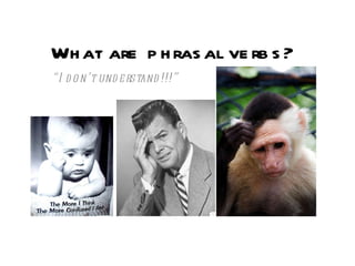What are phrasal verbs? “ I don’t understand!!!” 