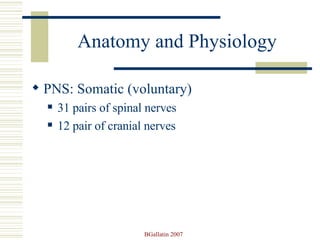 Anatomy and Physiology PNS: Somatic (voluntary) 31 pairs of spinal nerves  12 pair of cranial nerves 