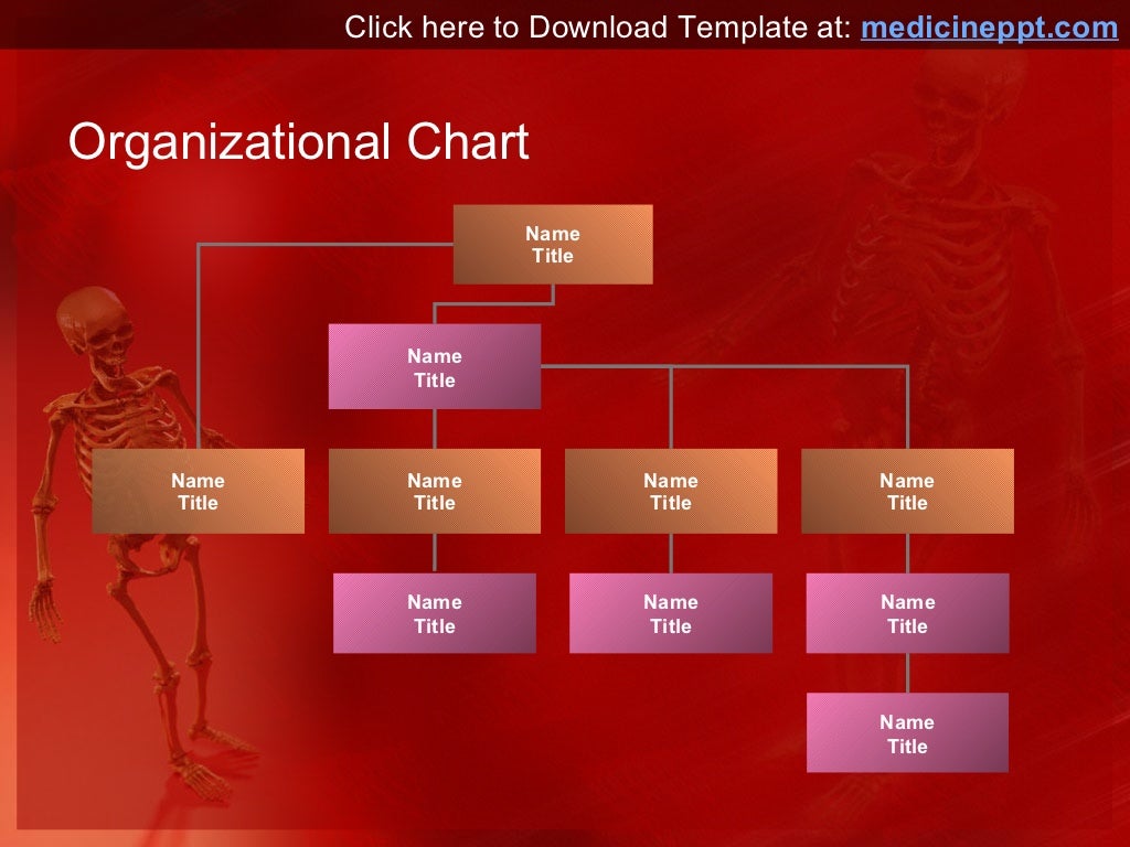 human-skeleton-ppt-template-for-powerpoint-presentation