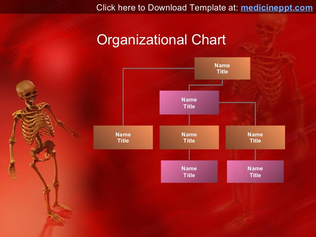 Human Skeleton PPT Template for PowerPoint Presentation