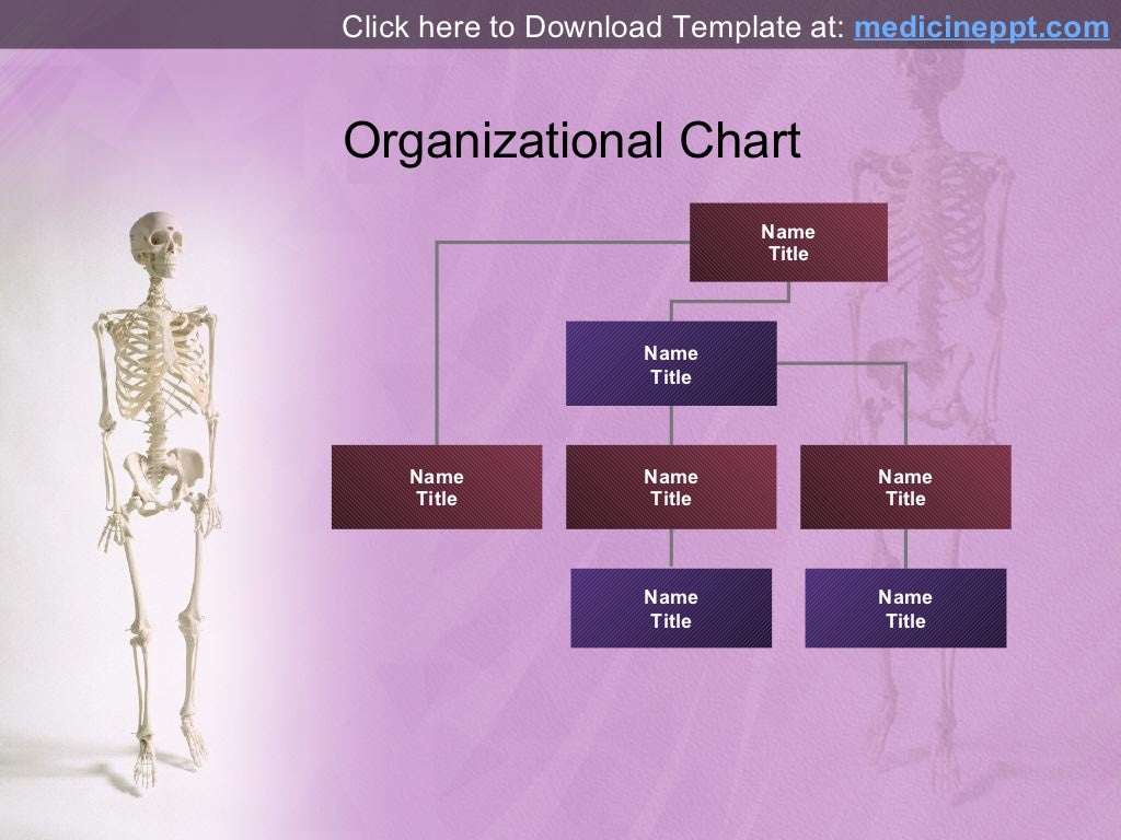 Free Human Skeleton PowerPoint Template
