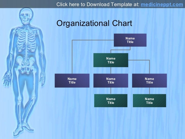 free-human-skeleton-powerpoint-template-prezentr-ppt-vrogue-co