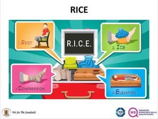 Rubicon Rice Protocol (MED 316) Management Of Fractures latest.pdf