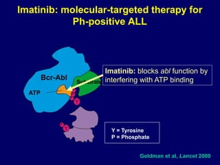 Imatinib: molecular-targeted therapy for
Ph-positive ALL
Goldman et al, Lancet 2000
Bcr-Abl
Bcr-Abl
ATP
Substrate
P
P
P
P
Imatinib: blocks abl function by
interfering with ATP binding
Y = Tyrosine
P = Phosphate
 