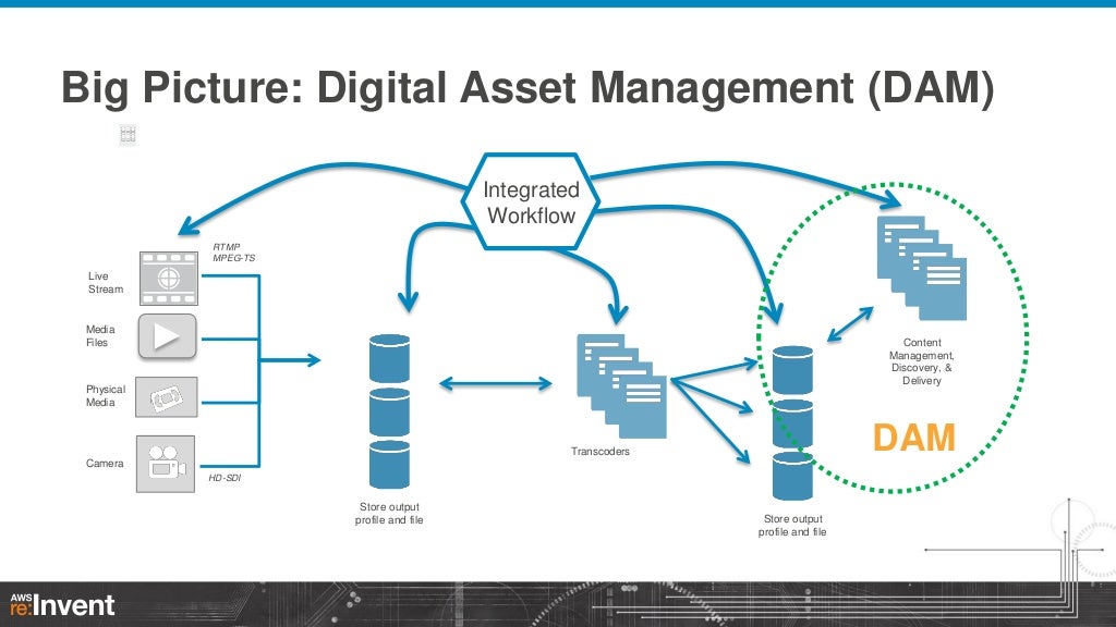 Asset shared. Dam система. Digital Asset Management (dam). Архитектура Digital Asset Management (dam). Workflow Management архитектура.
