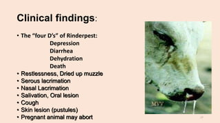 Viral Diseases of Wild Ruminants | PPTX