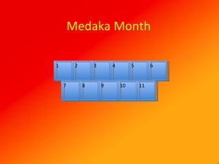 Medaka Month 1 2 3 4 5 6 7 8 9 10 11 