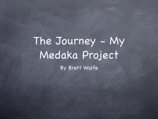 The Journey - My
 Medaka Project
    By Brett Wolfe
 