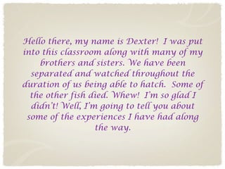 Hello there, my name is Dexter! I was put
into this classroom along with many of my
    brothers and sisters. We have been
  separated and watched throughout the
duration of us being able to hatch. Some of
  the other fish died. Whew! I’m so glad I
  didn’t! Well, I’m going to tell you about
 some of the experiences I have had along
                   the way.
 
