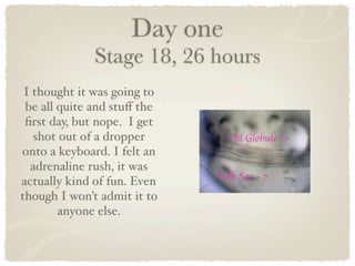 Day one
              Stage 18, 26 hours
 I thought it was going to
 be all quite and stuﬀ the
 ﬁrst day, but nope. I get
   shot out of a dropper
onto a keyboard. I felt an
  adrenaline rush, it was
actually kind of fun. Even
though I won’t admit it to
        anyone else.
 