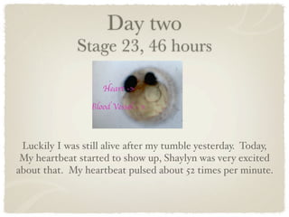 Day two
              Stage 23, 46 hours




 Luckily I was still alive after my tumble yesterday. Today,
 My heartbeat started to show up, Shaylyn was very excited
about that. My heartbeat pulsed about 52 times per minute.
 