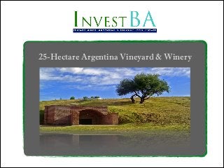 25-Hectare Argentina Vineyard & Winery

 
