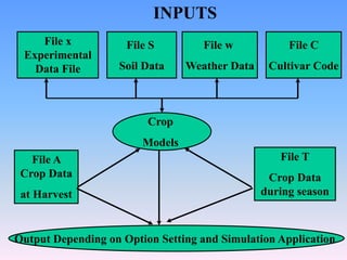 Control Data Crop Crop Modeling | PPT