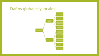 Daños globales y locales
 