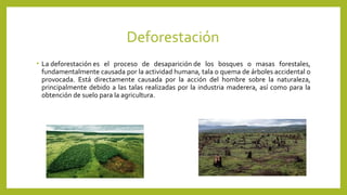 Deforestación
• La deforestación es el proceso de desaparición de los bosques o masas forestales,
fundamentalmente causada por la actividad humana, tala o quema de árboles accidental o
provocada. Está directamente causada por la acción del hombre sobre la naturaleza,
principalmente debido a las talas realizadas por la industria maderera, así como para la
obtención de suelo para la agricultura.
 