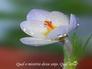 Qual o mistério desse anjo. Qual seria?
 