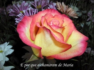 E por que o chamaram de Maria
 