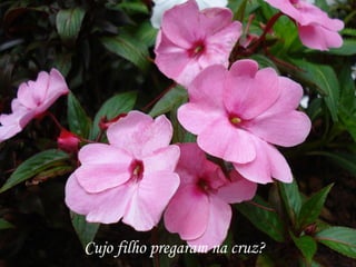 Cujo filho pregaram na cruz?
 