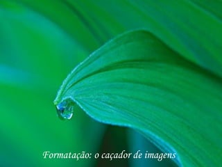 Formatação: o caçador de imagens
 