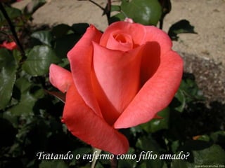 Tratando o enfermo como filho amado?
 