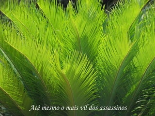 Até mesmo o mais vil dos assassinos
 